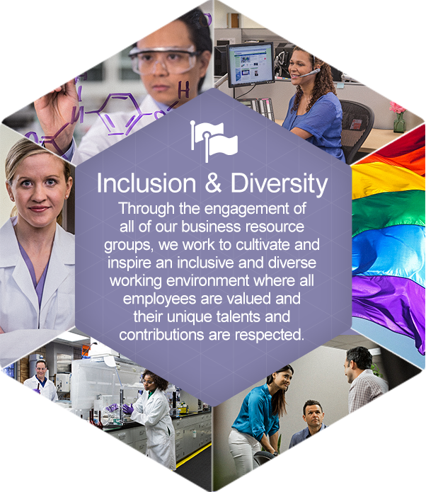 Inclusion and Diversity